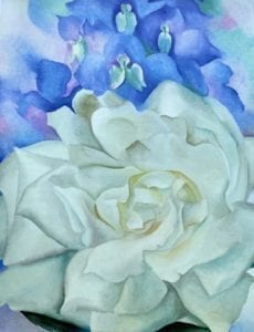 White Rose With Larkspur No 2 - Georgia O'Keeffe - LadyKflo