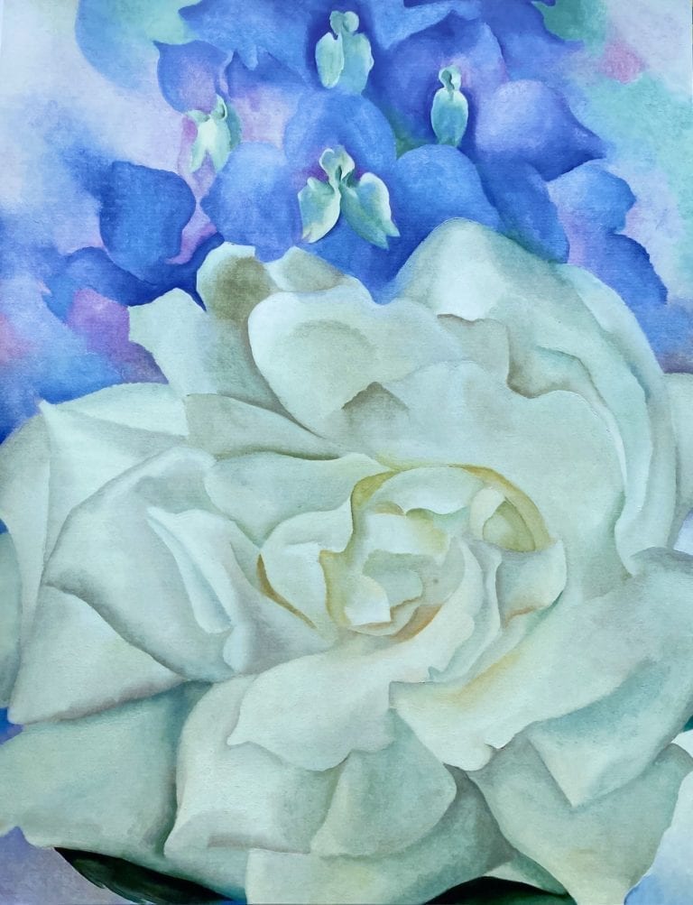 White Rose-and-Larkspur2- georgia-okeeffe 1927 -